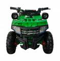 ���������� Spark Junior 1000w